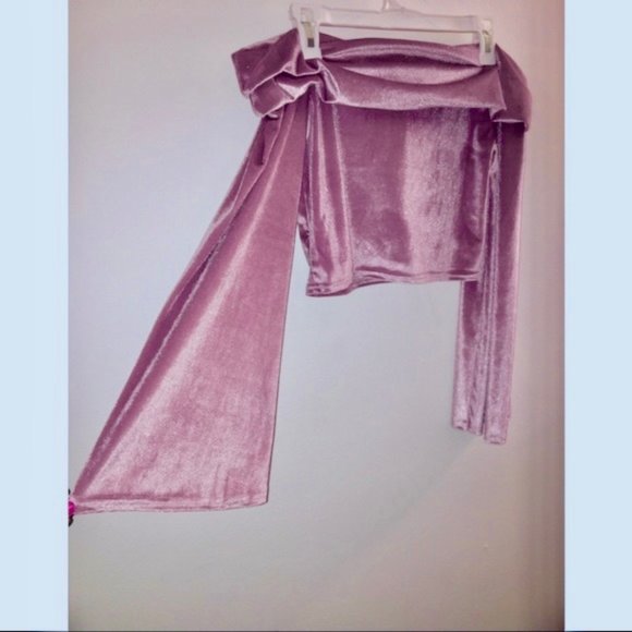 Nasty Gal Velvet Bardot Sleeve Top - Rose (10) - Picture 5 of 7